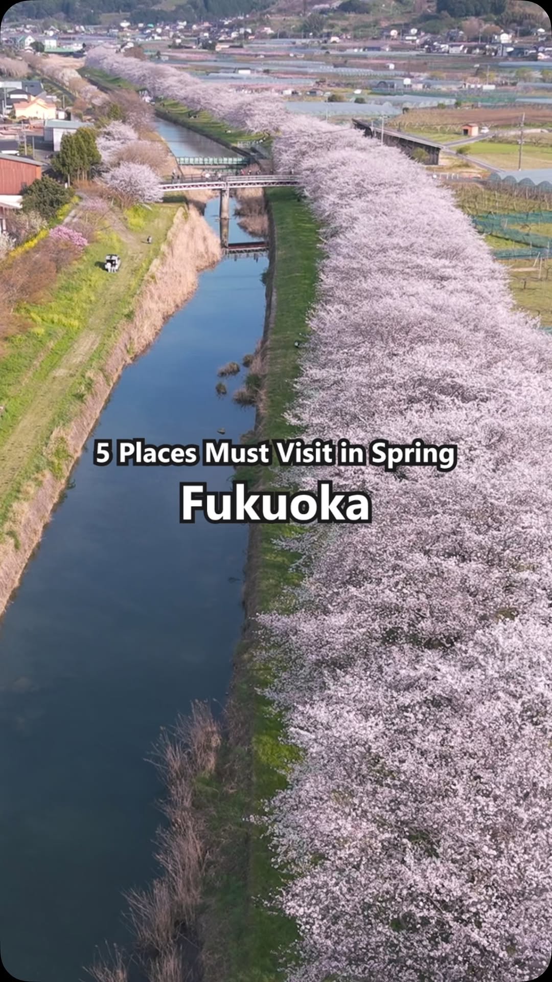 6 Attractions in Fukuoka