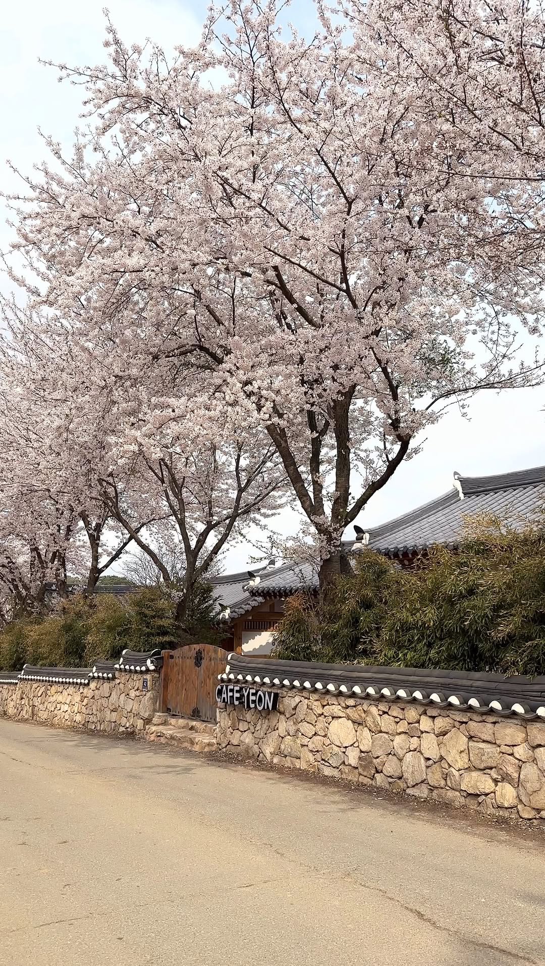 6 Cafes in South Korea
