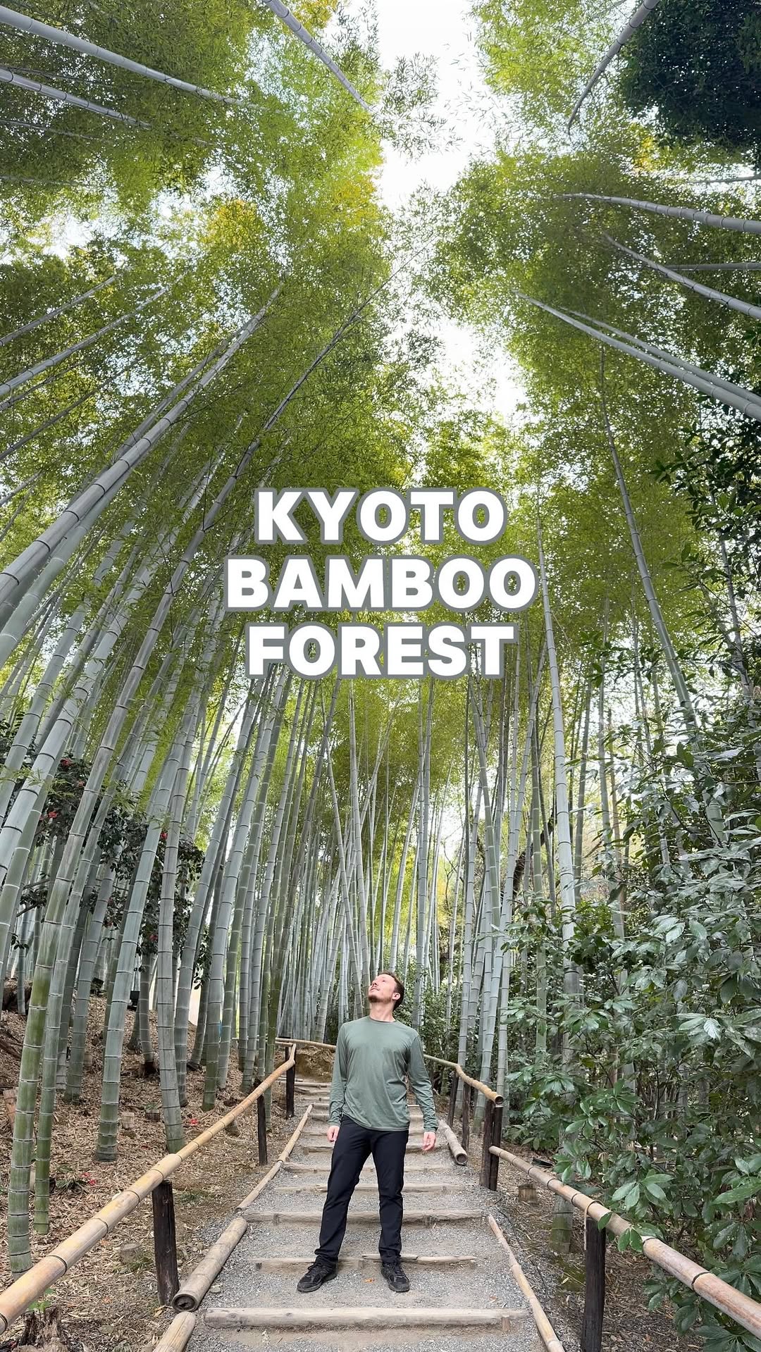 Kōdaiji Temple and Bamboo Forest: Kyoto's Hidden Gems