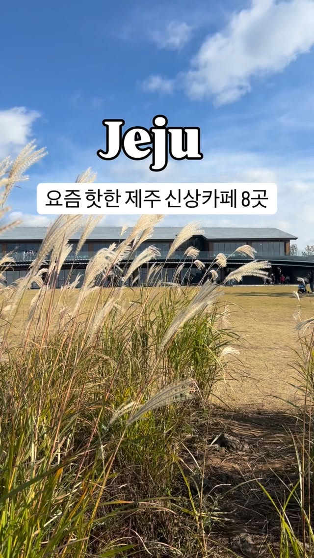 Jeju Island Cafes and Tourist Spots