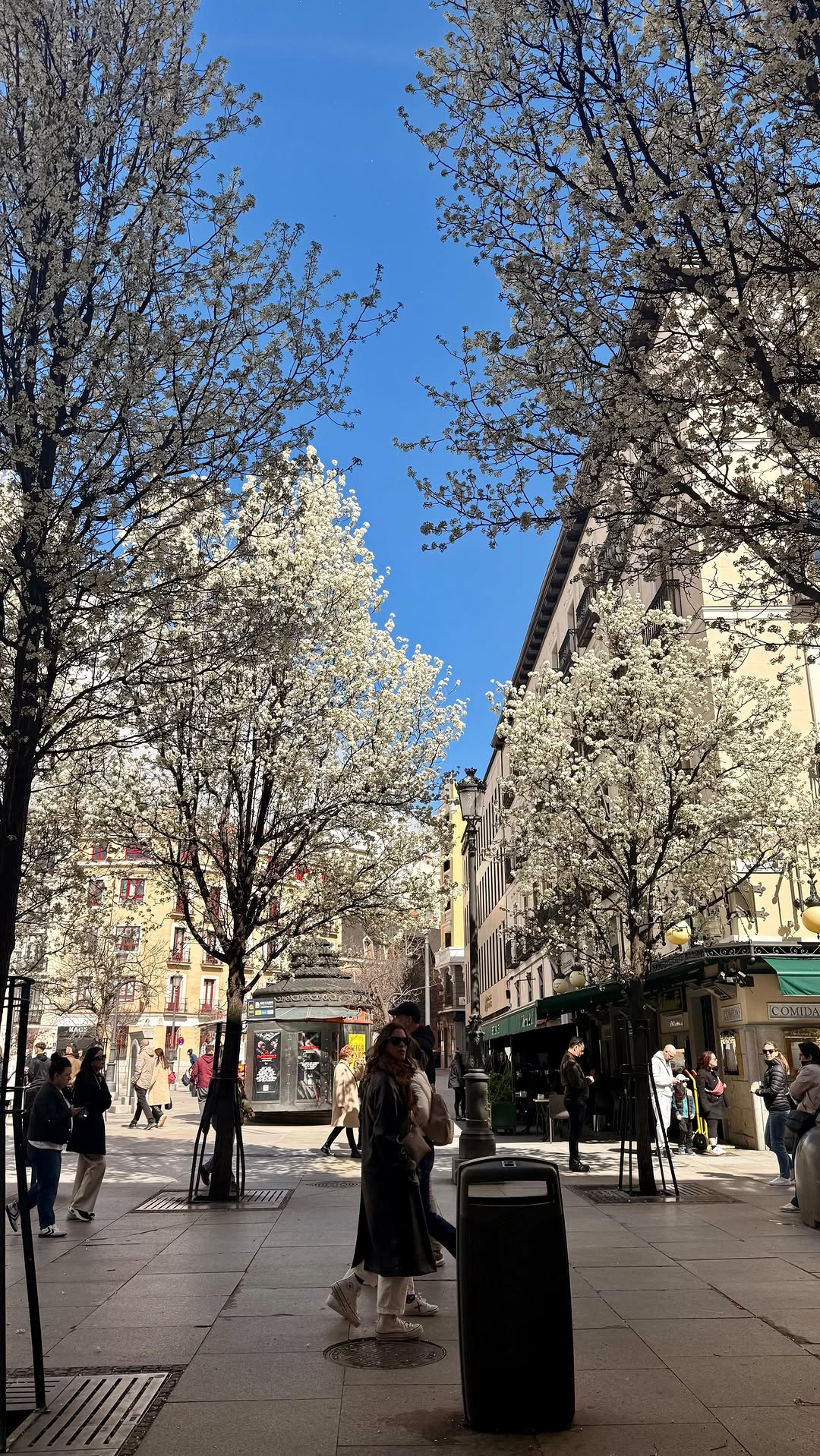 Seoul's Best Skincare Shops