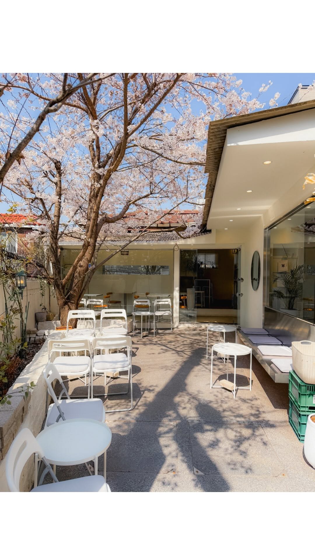 1 Cafes in Seoul