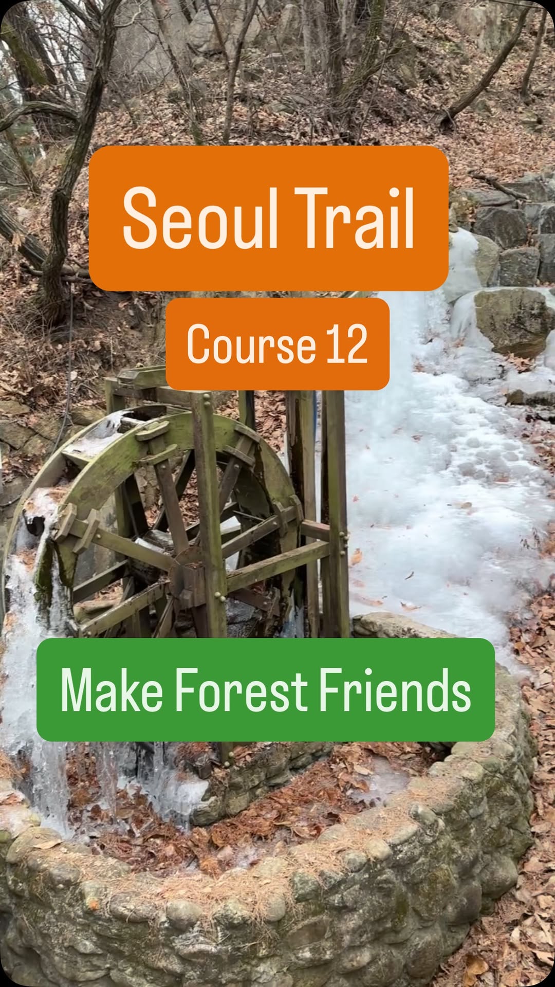 Seoul Trail Hike Spotlights Friendly Birds