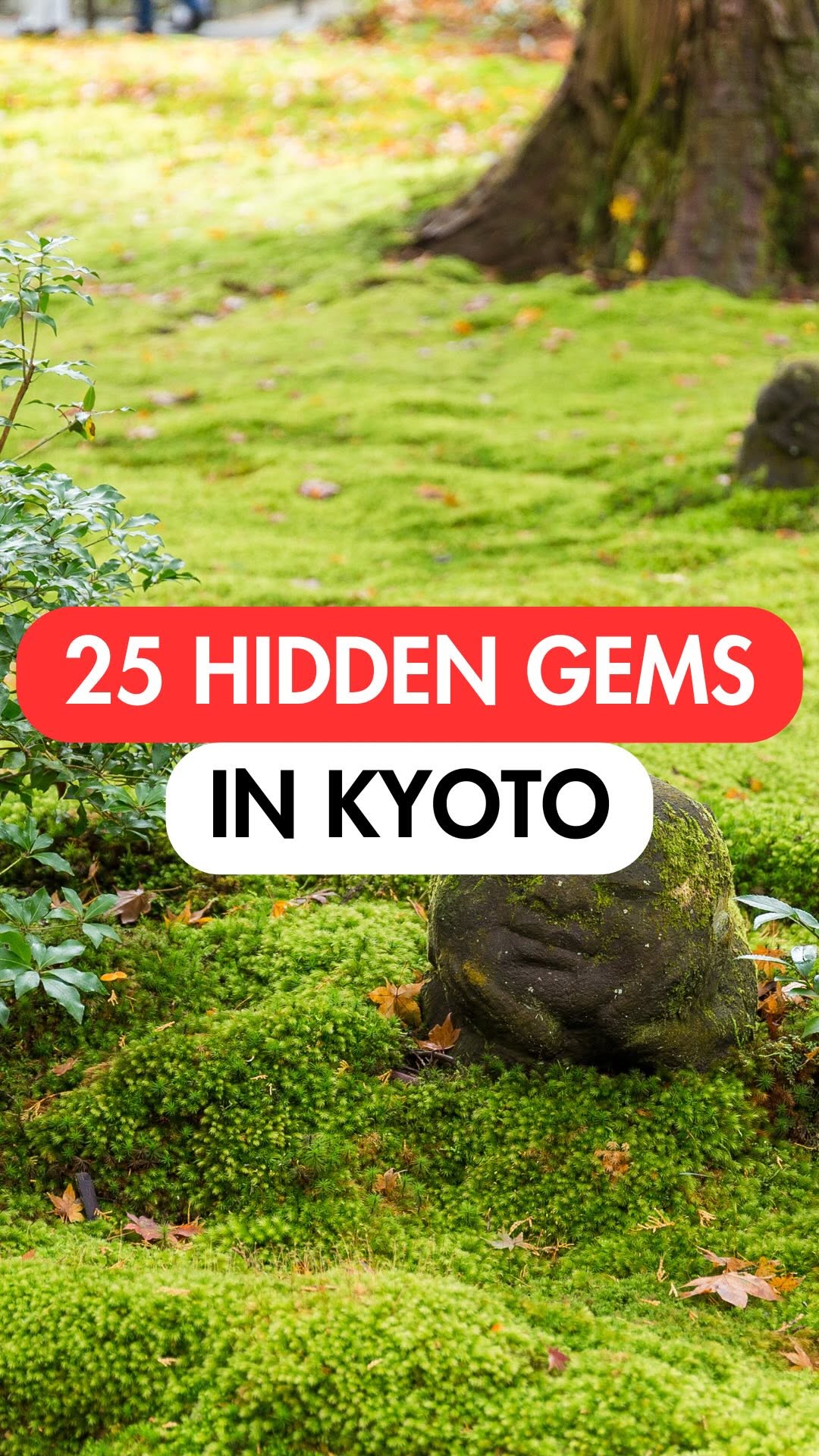 25 Attractions in Kyoto