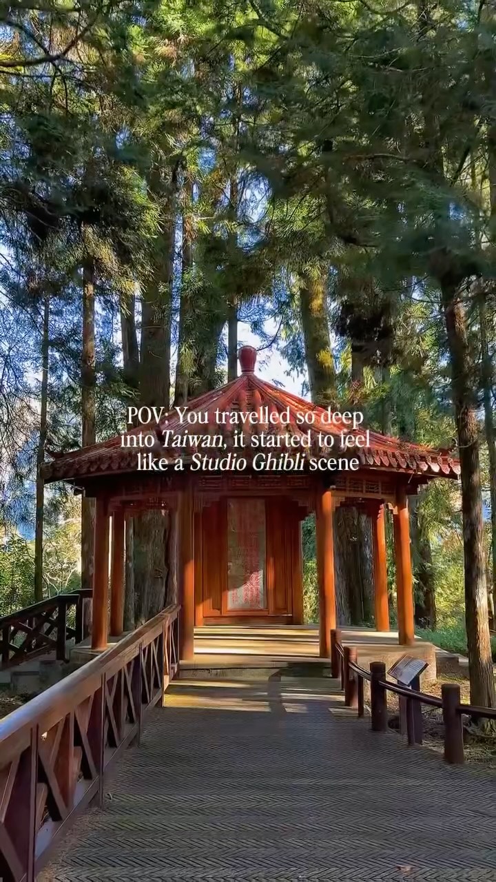Alishan's Enchanting Forests and Mountain Railways