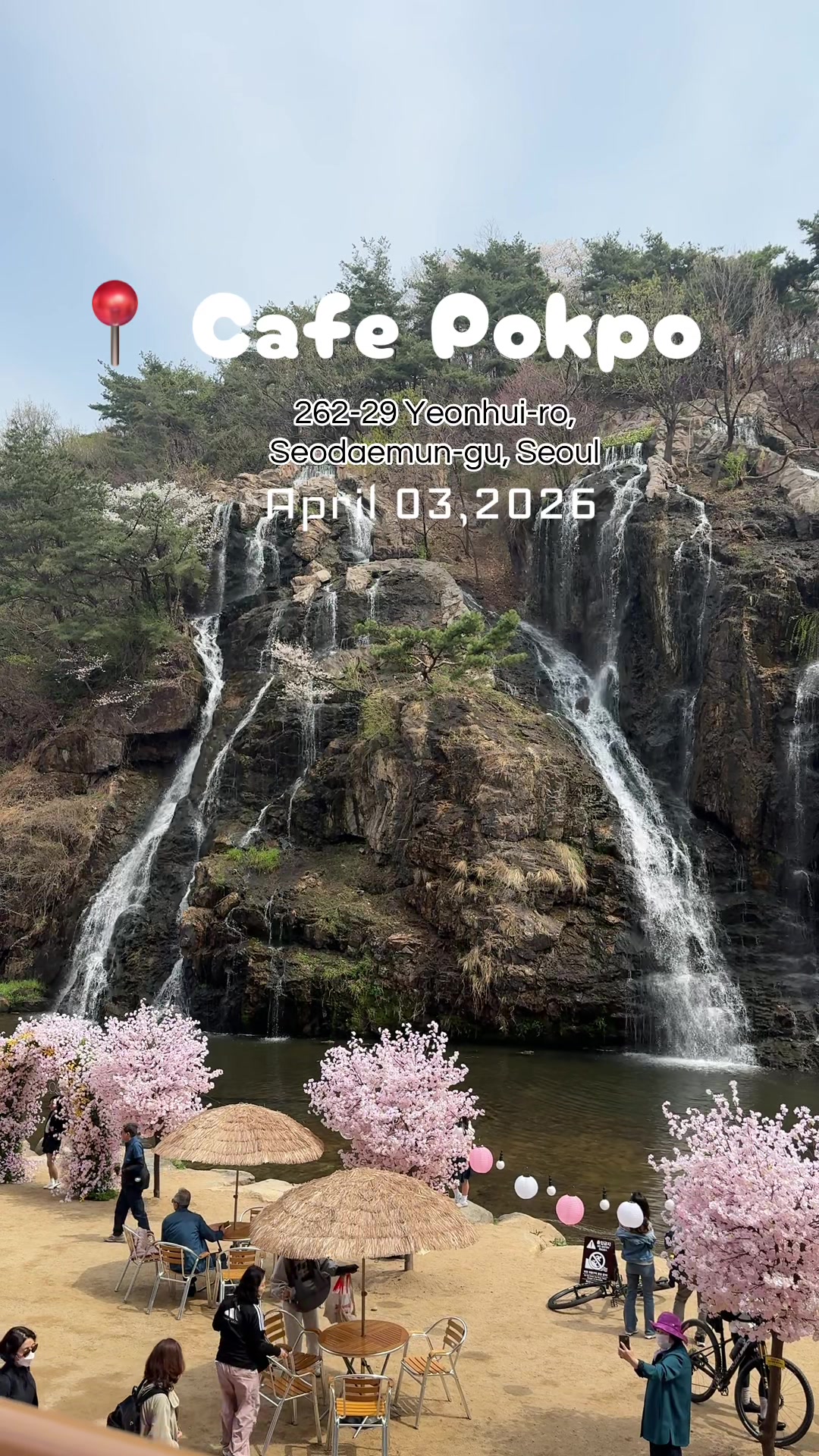Cafe Pokpo's Unique Offerings