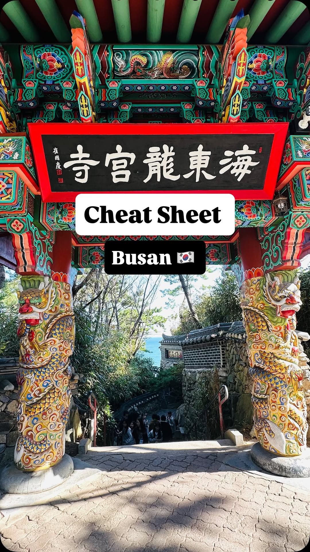 Busan's Coastal Charm and Cultural Treasures