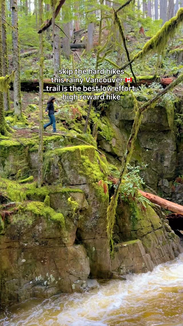 Cypress Provincial Park: A Lush Vancouver Hike