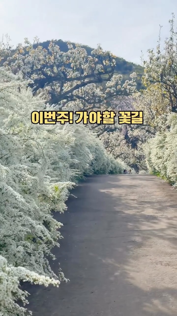 1 Parks in Boryeong-si