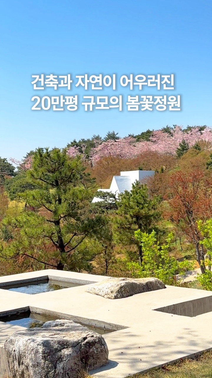 Sayuwon: A Secret Garden of Architecture and Blooms