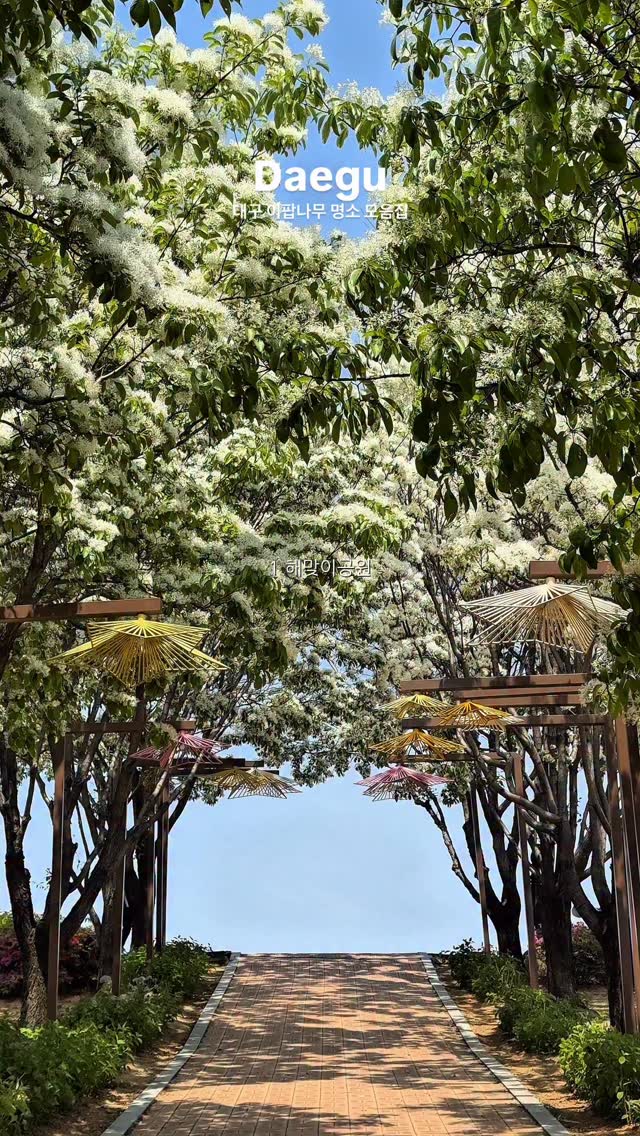 6 Parks in Daegu