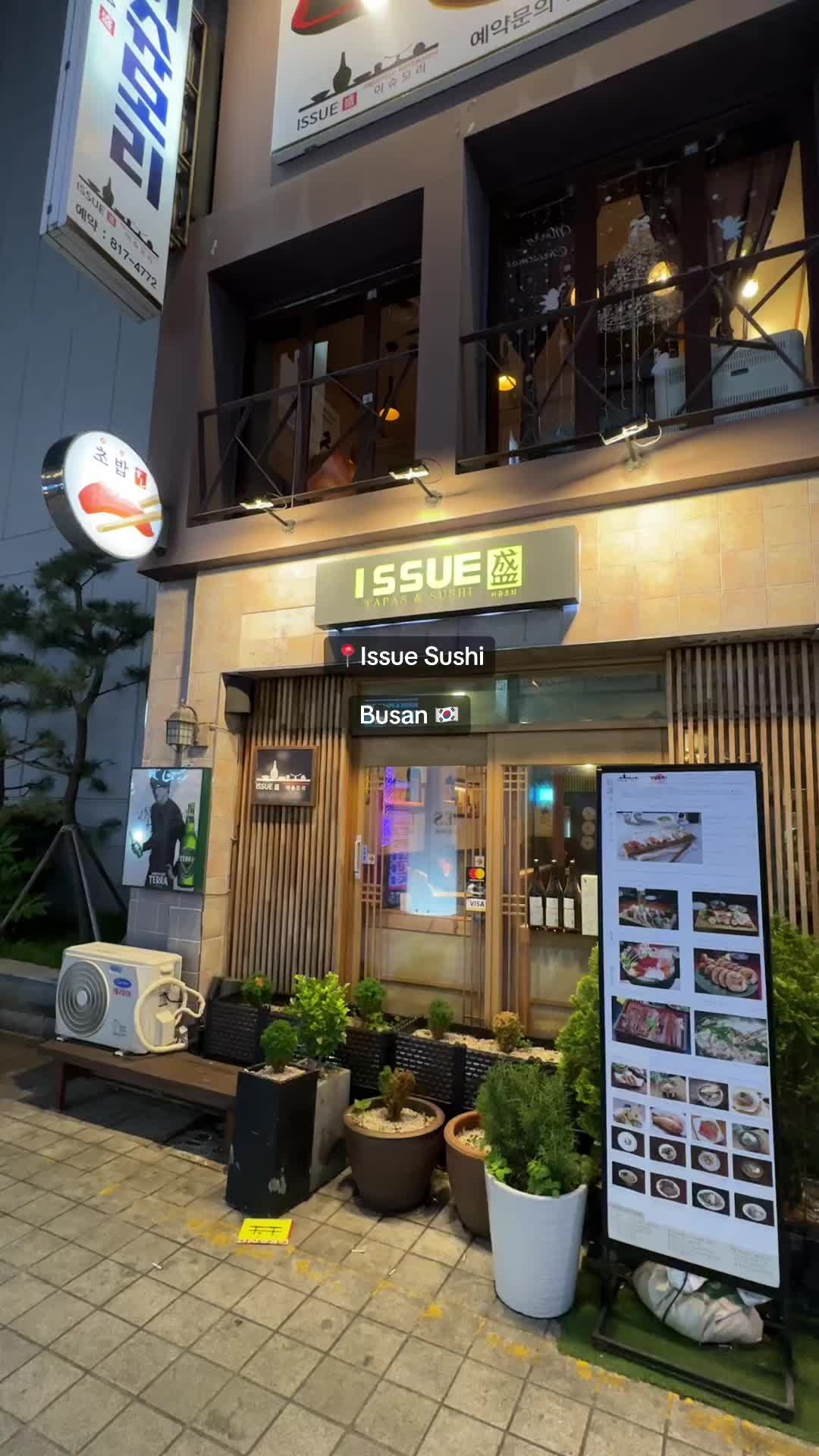 Busan's Fresh Sushi Delights