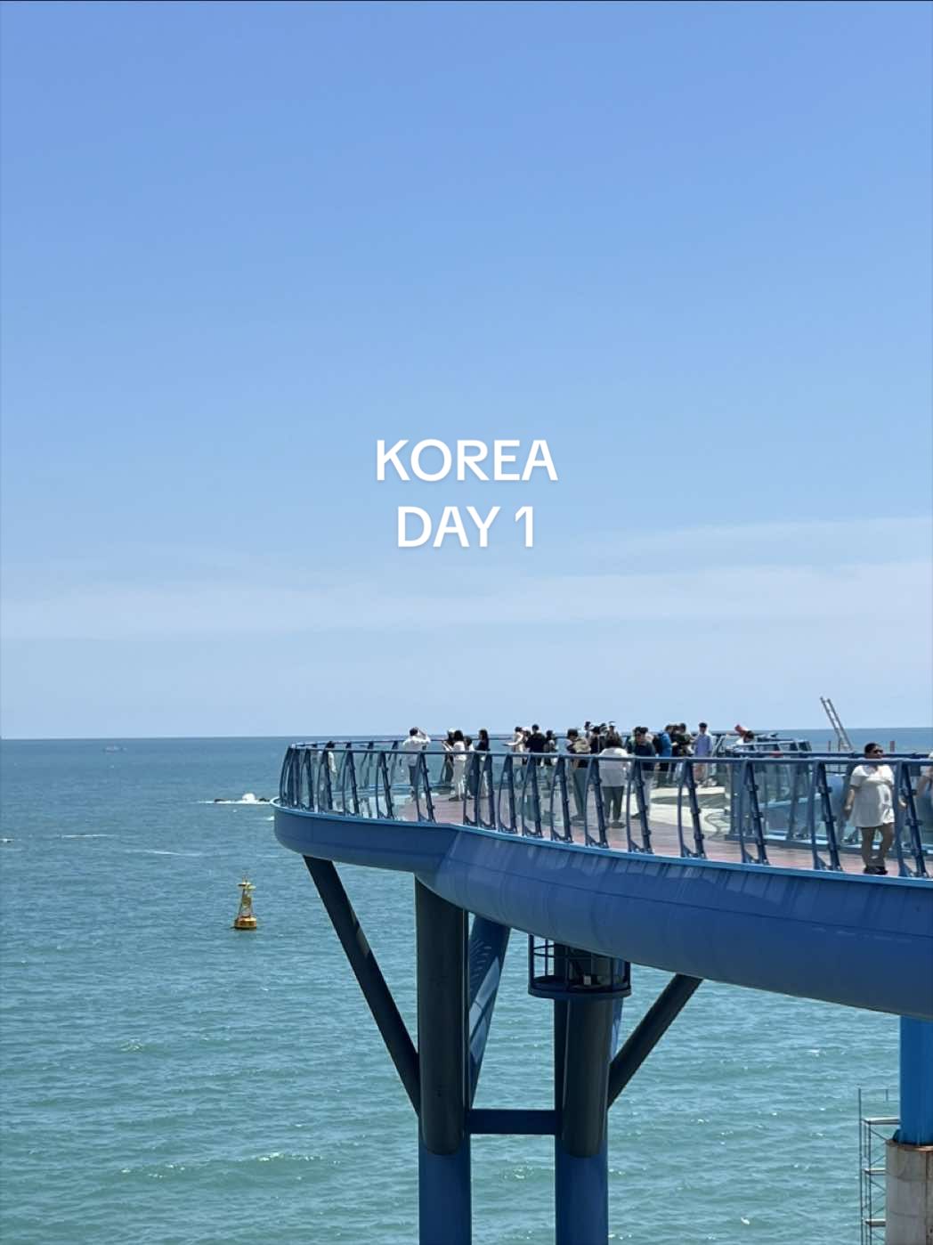 Busan Coastal Views And City Heights