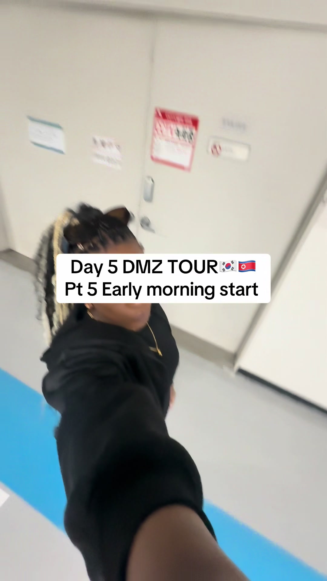 Demilitarized Zone Day Trip From Seoul