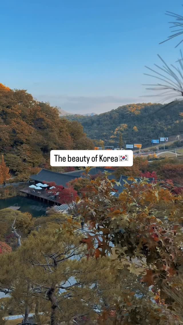 Hwadamsup Offers Nature Escape in South Korea