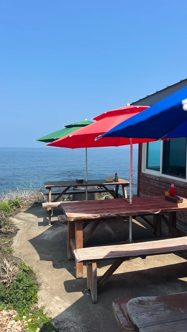 Jeju Restaurant: Ocean Views and Dolphin Sightings
