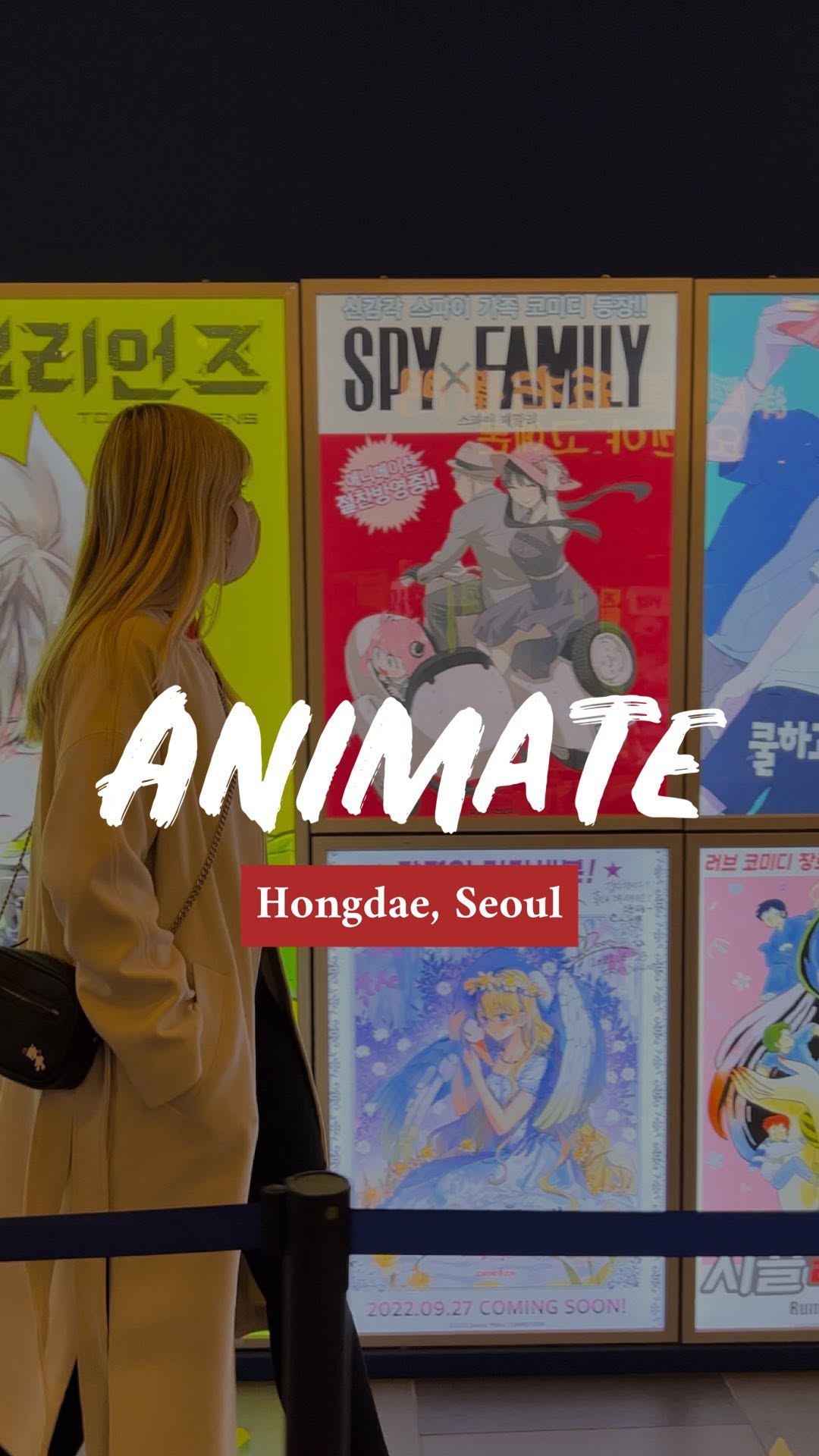 Hongdae Anime and Manga Shops