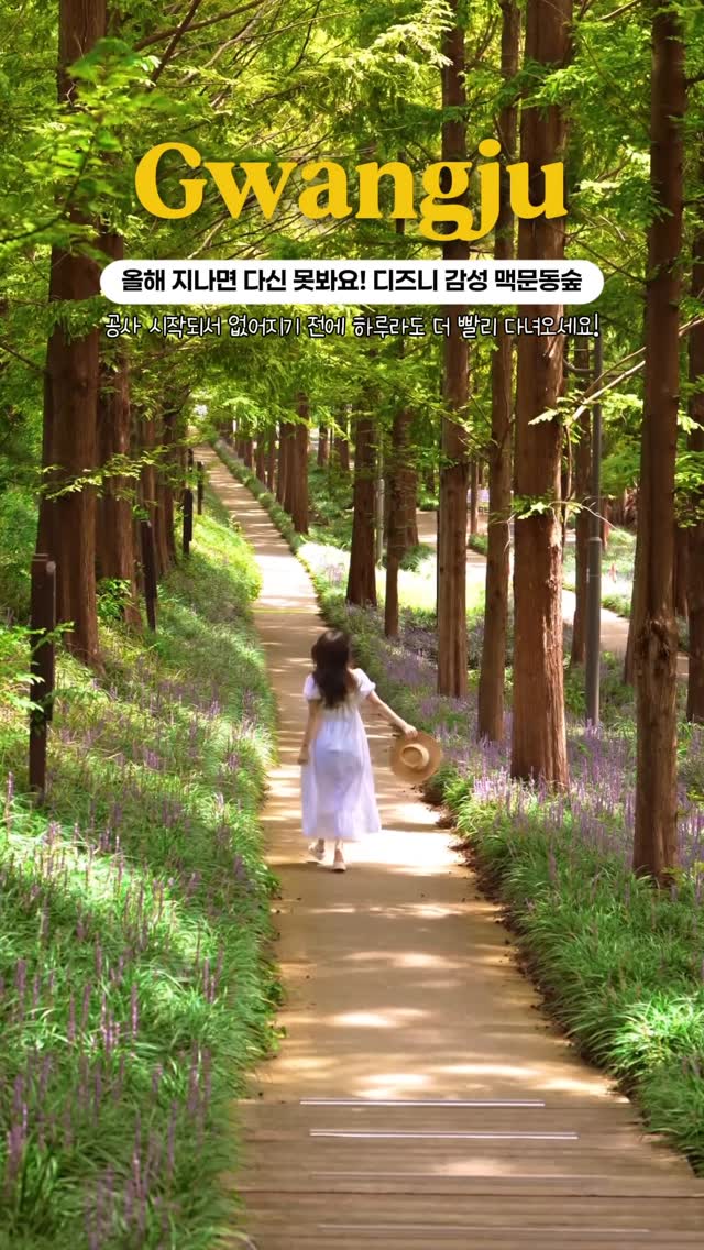 Disney-esque Liriope Forest Path in Korea