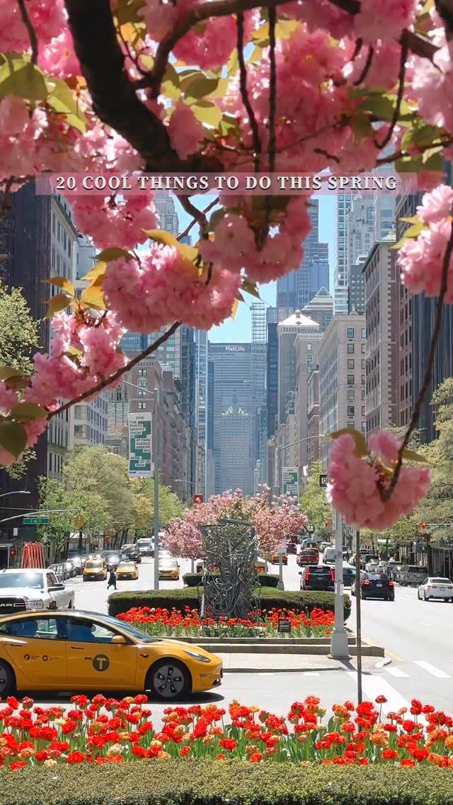 17 Parks in New York