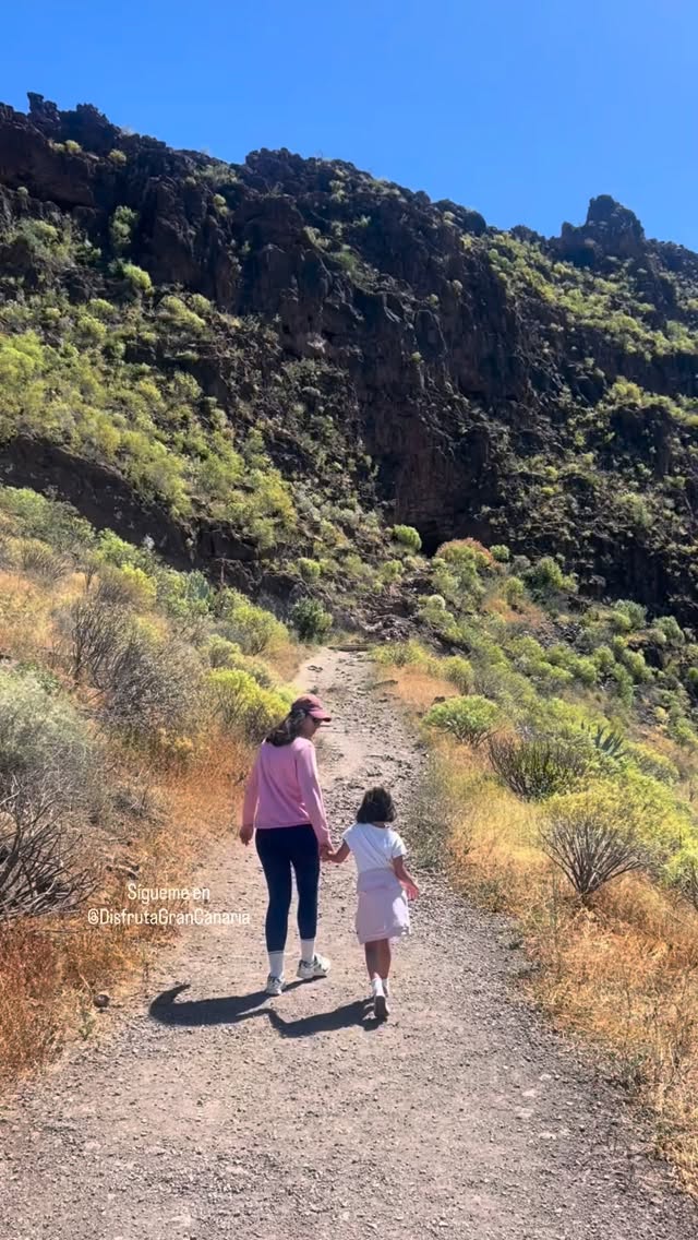 5 Parks in Canarias