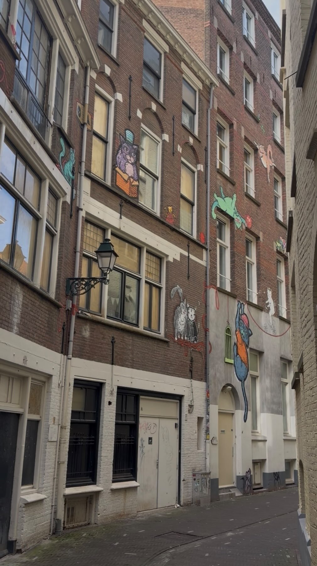 The Hague's Cat-Themed Alleyways