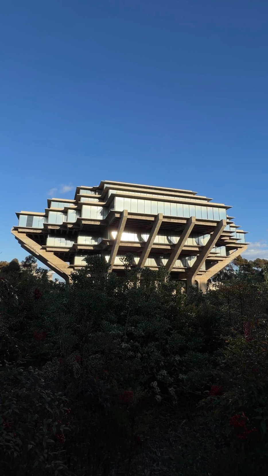 Architectural Marvel: Geisel Library