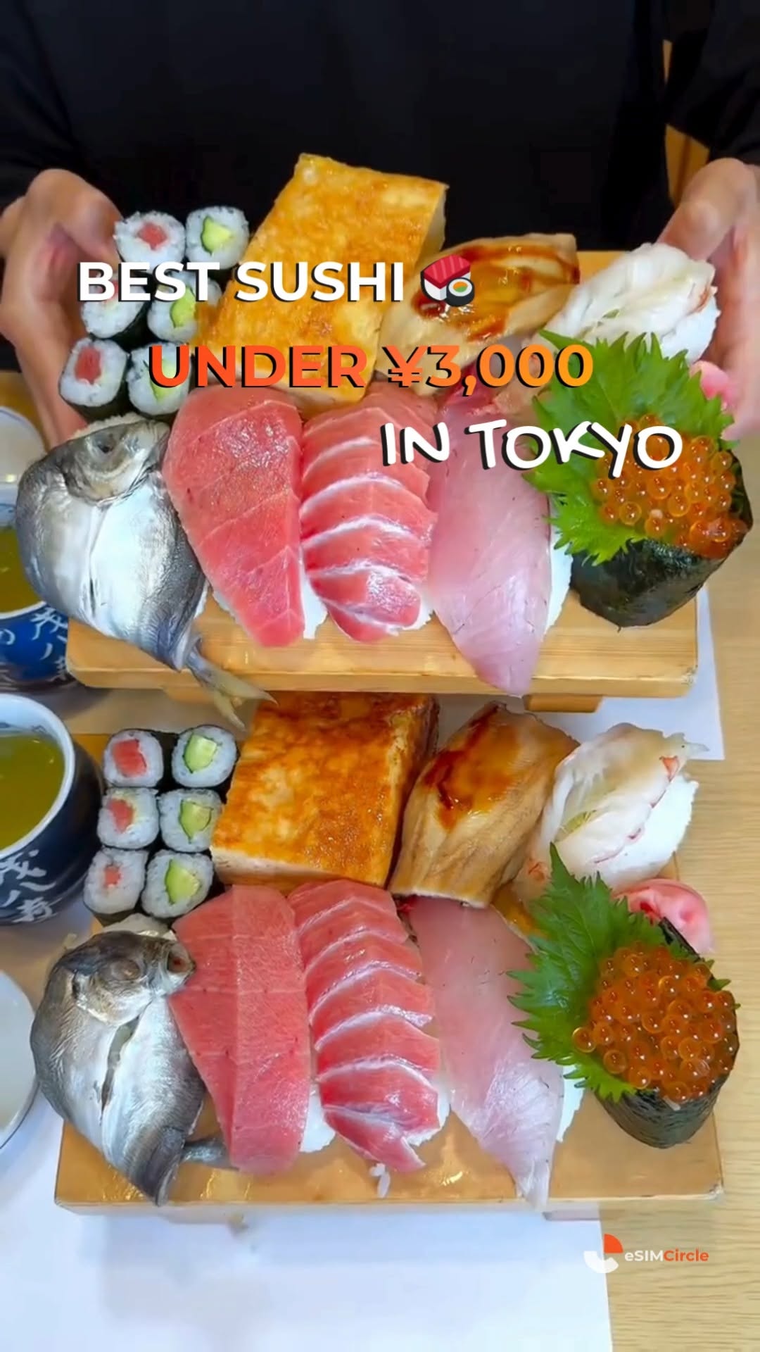Affordable Sushi Spots In Tokyo