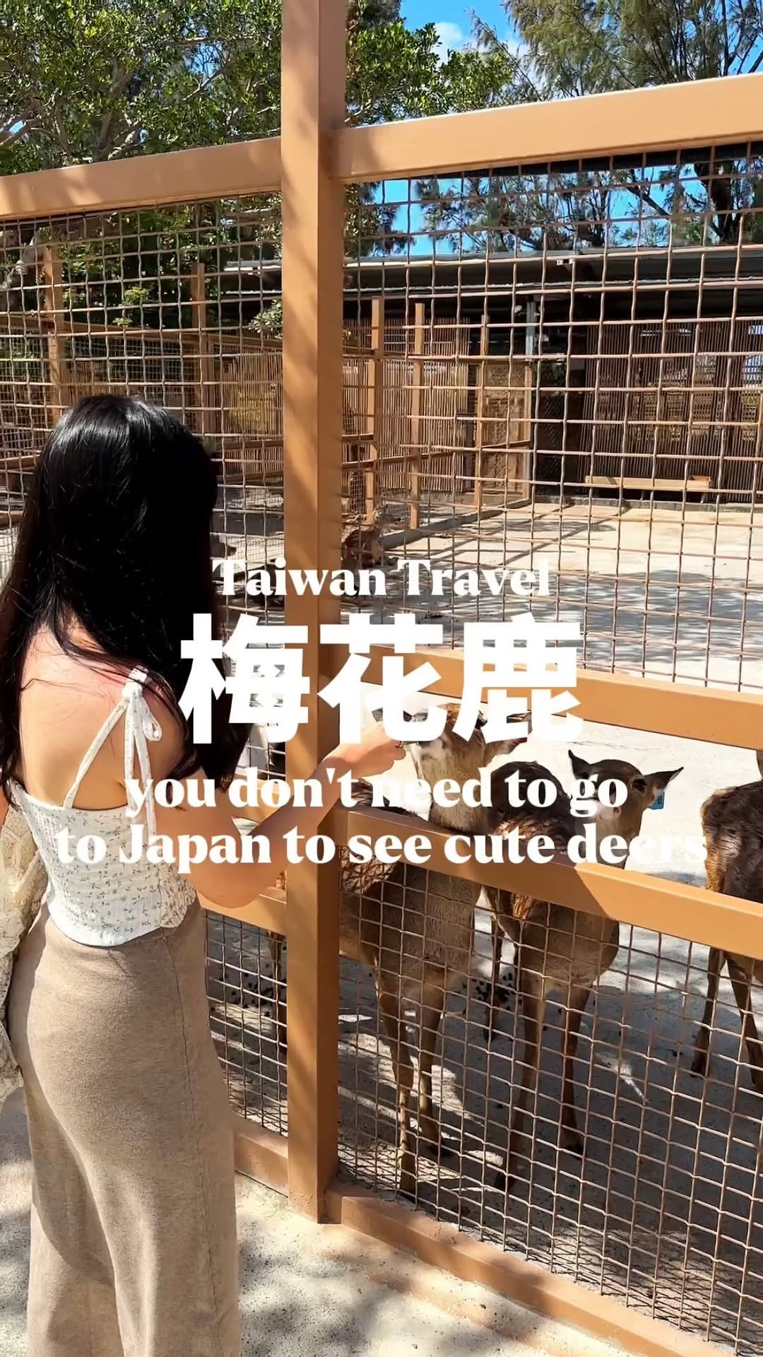 Pet and Feed Deer and Capybaras