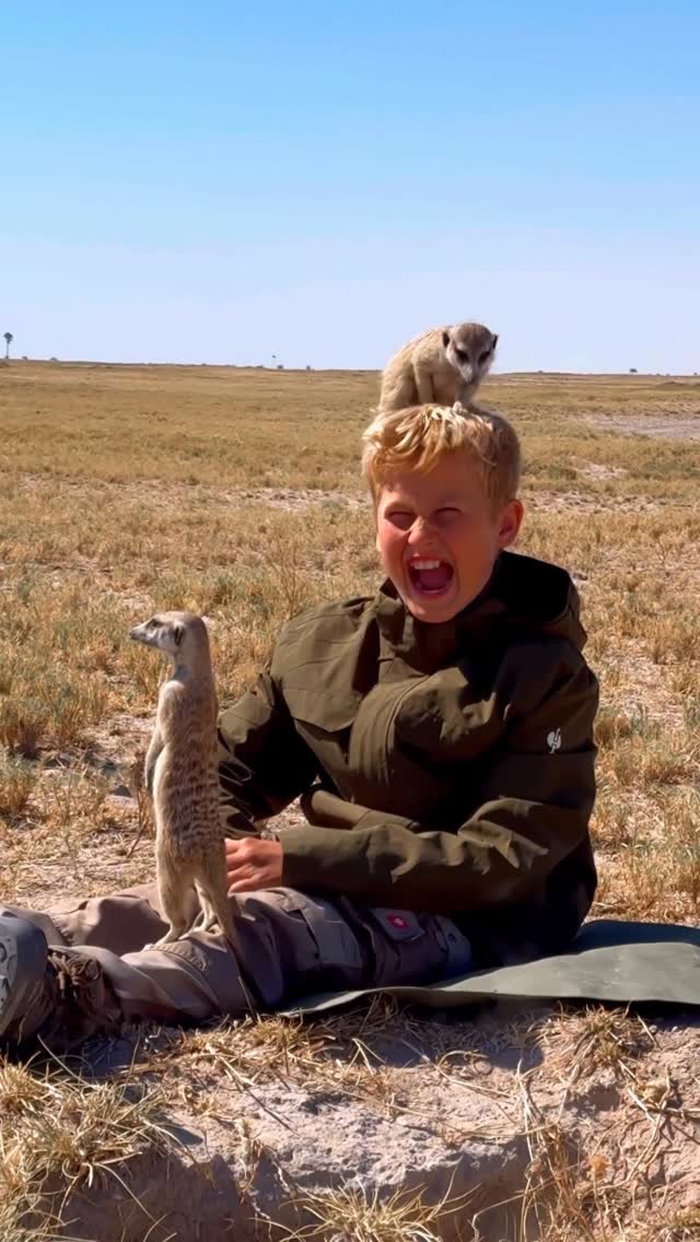 Botswana: Meet Meerkats At San Camp
