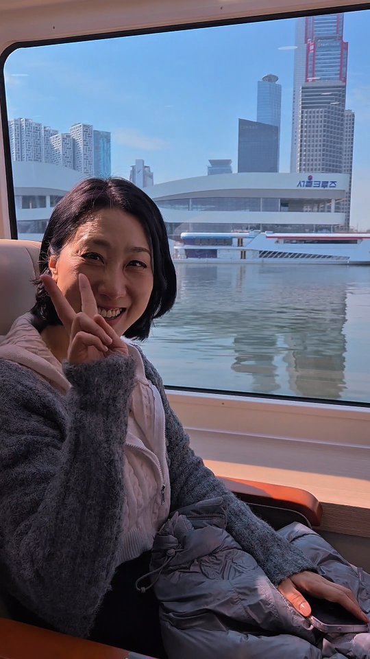 Seoul Destinations: Towers, Parks, and River Views