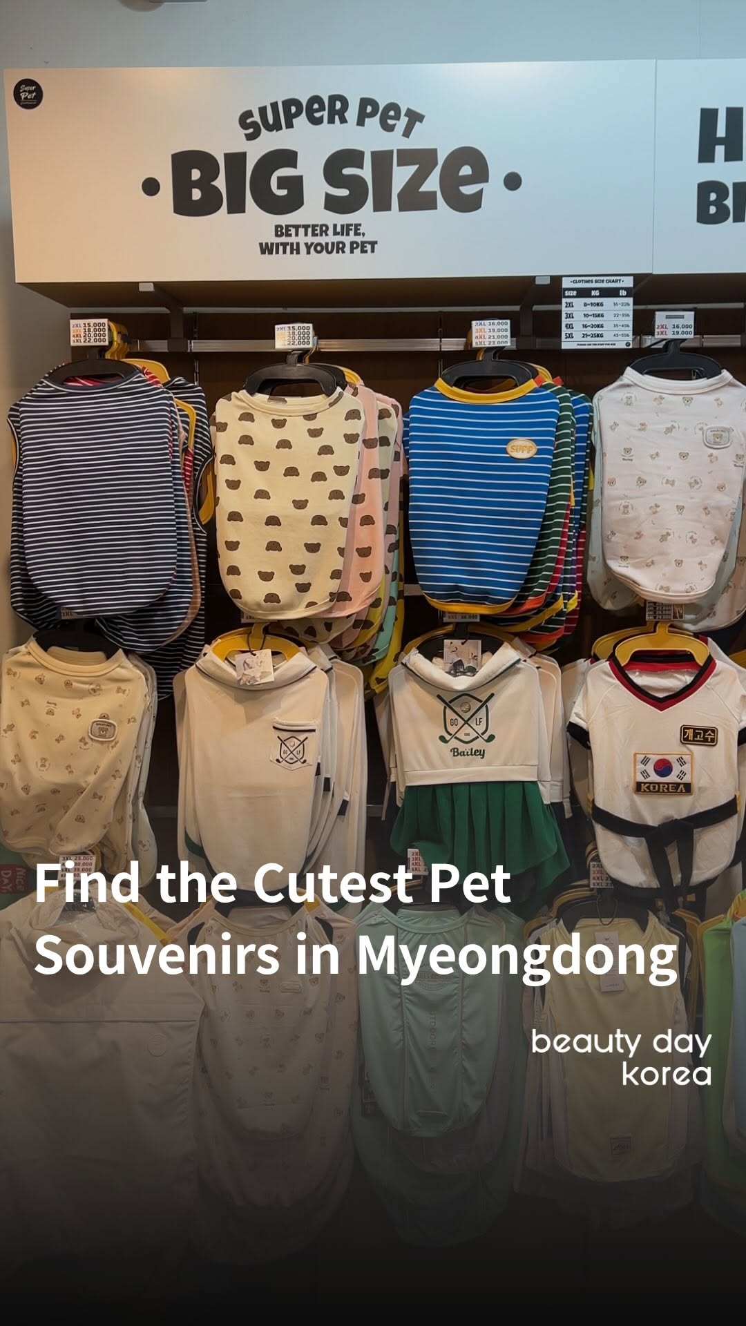 Seoul Pet Shop Offers Adorable Accessories