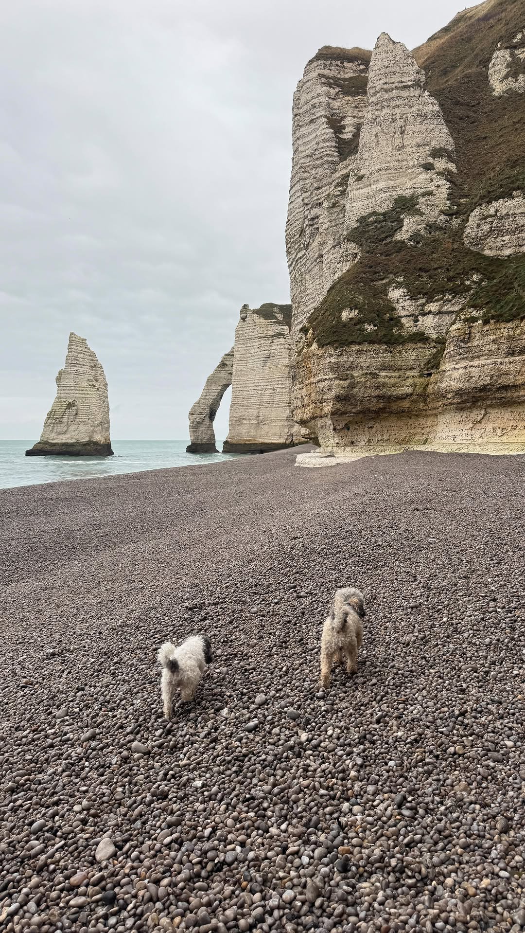 Stunning Cliff Views in Étretat
