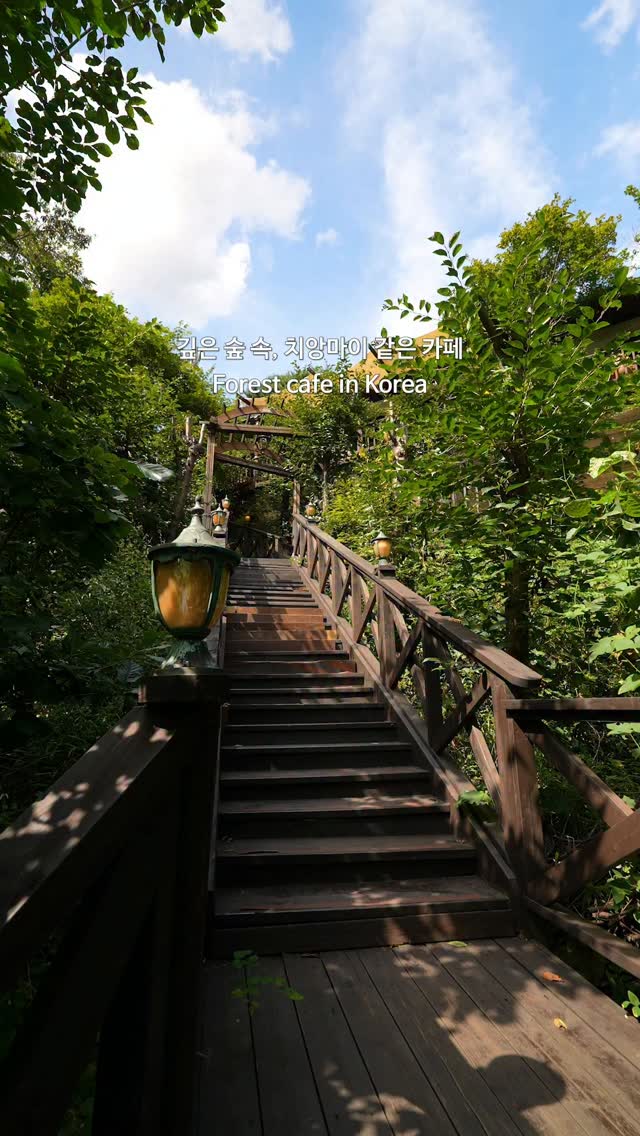 Charming Forest Cafe Evokes Chiang Mai Atmosphere