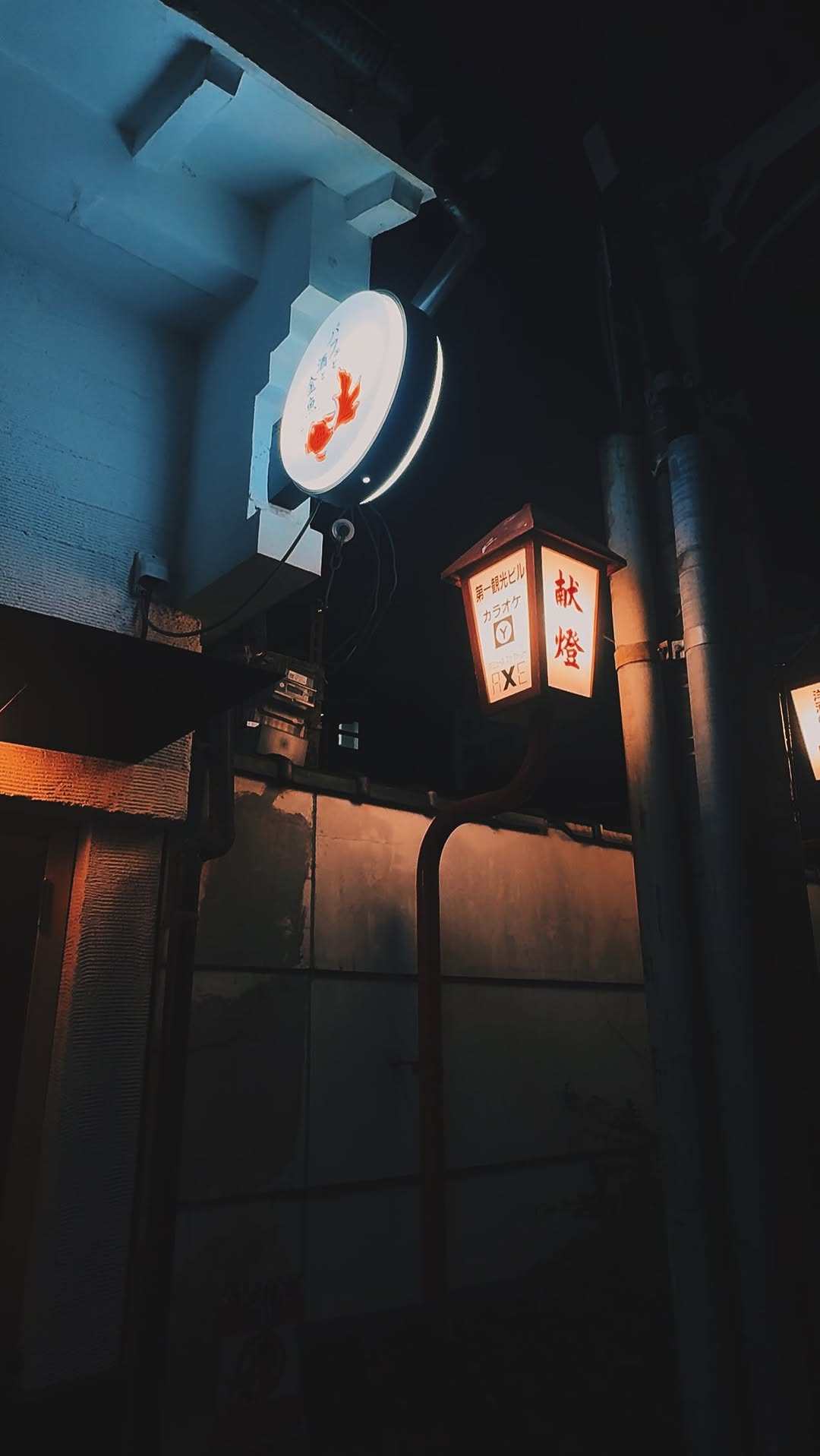 Parfaits, Sake, and Goldfish: A Unique Trio