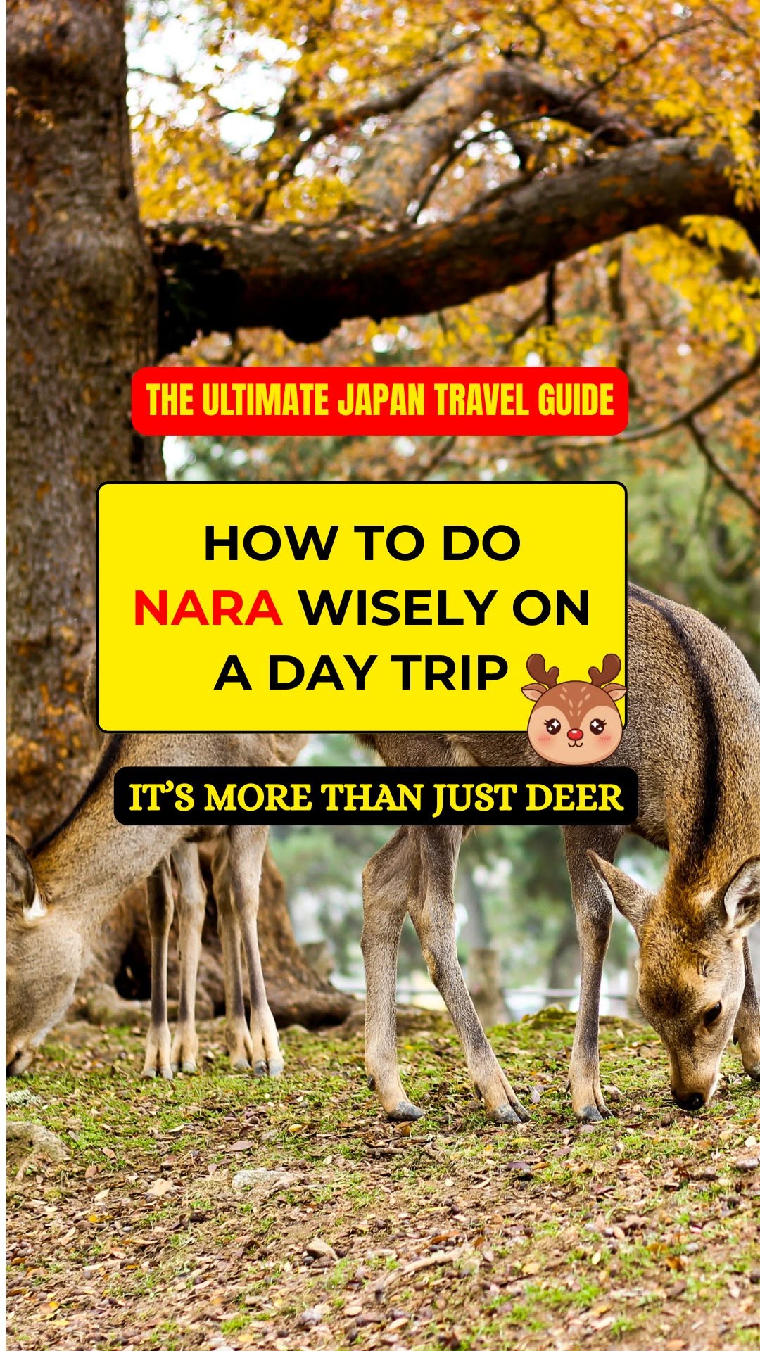 Nara Day Trip Highlights: Deer, Temples, and Views
