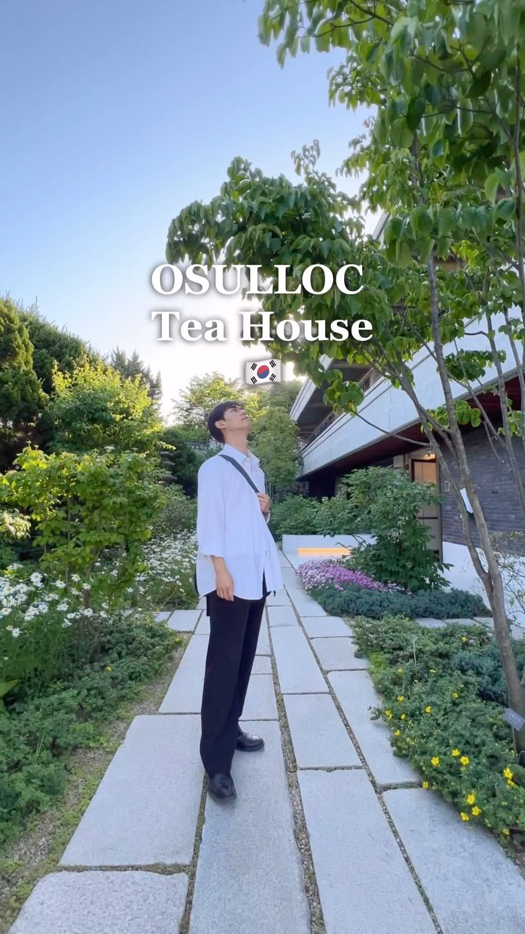 Osulloc Tea House Offers Peaceful Tea Moments