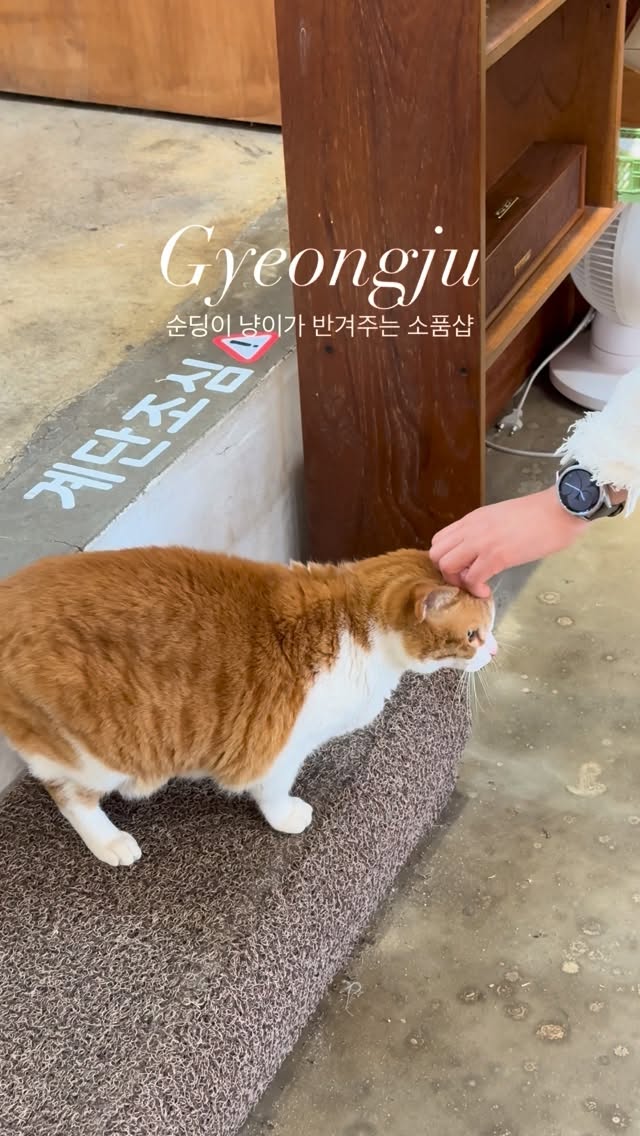 2 Landmarks in Gyeongju