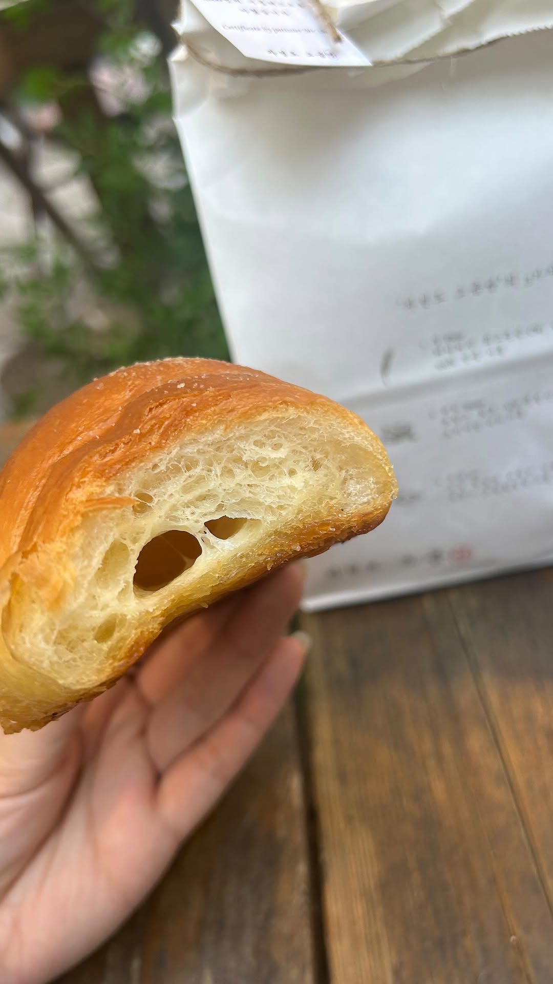 Must-Try Seoul Snacks: Fruit Mochi, Hotteok, Salt Bread