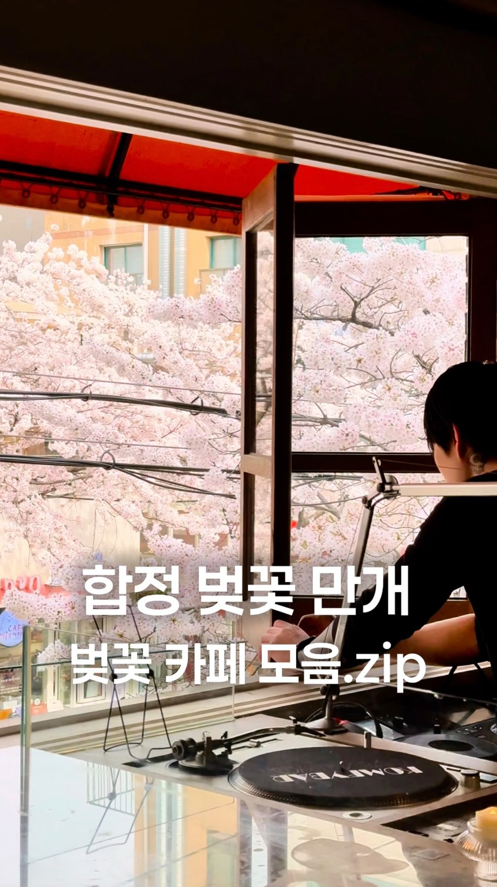 8 Cafes in Seoul