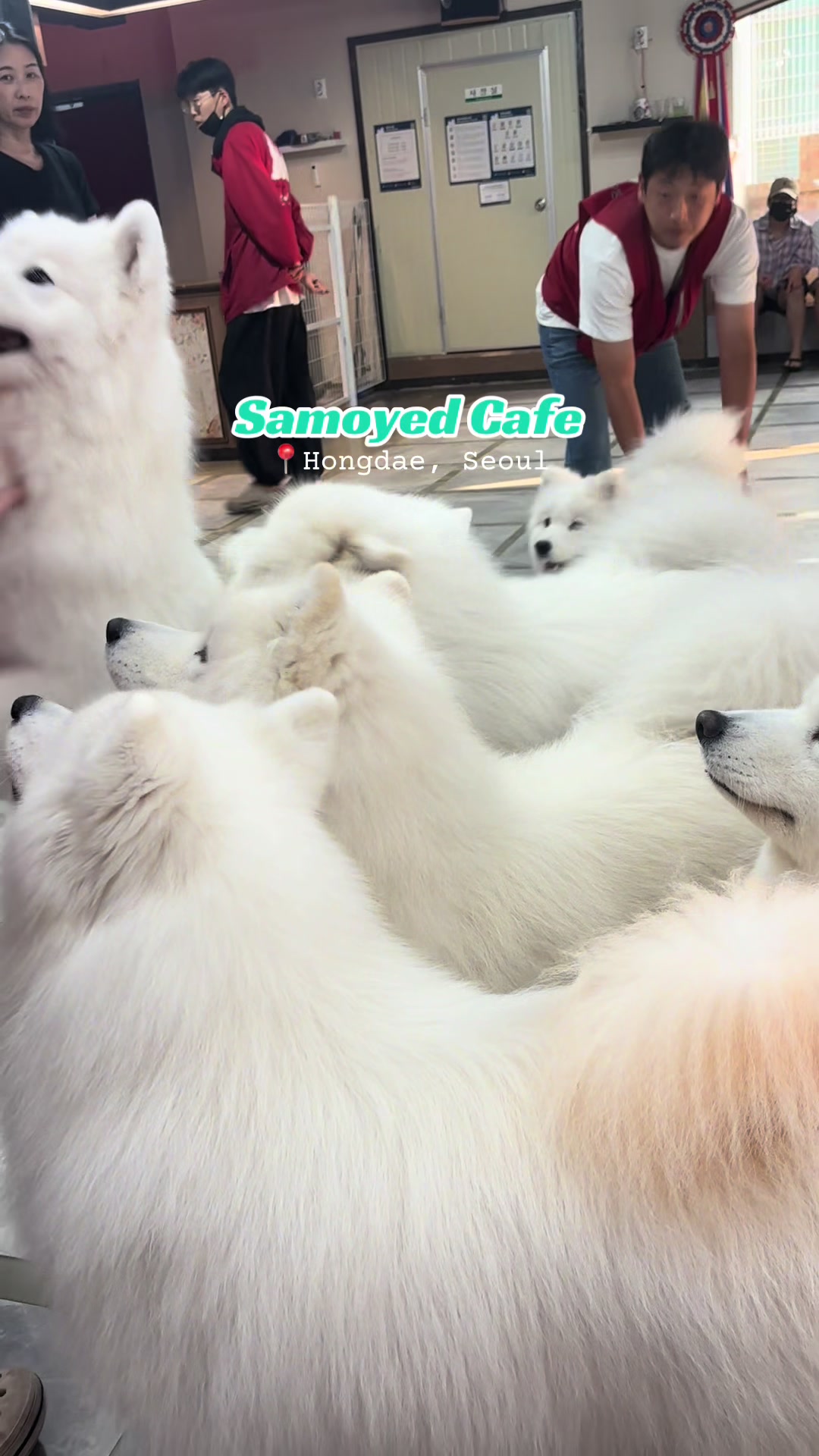 1 Cafes in Seoul