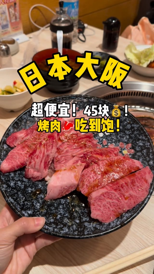 Osaka All-You-Can-Eat Meat Deals