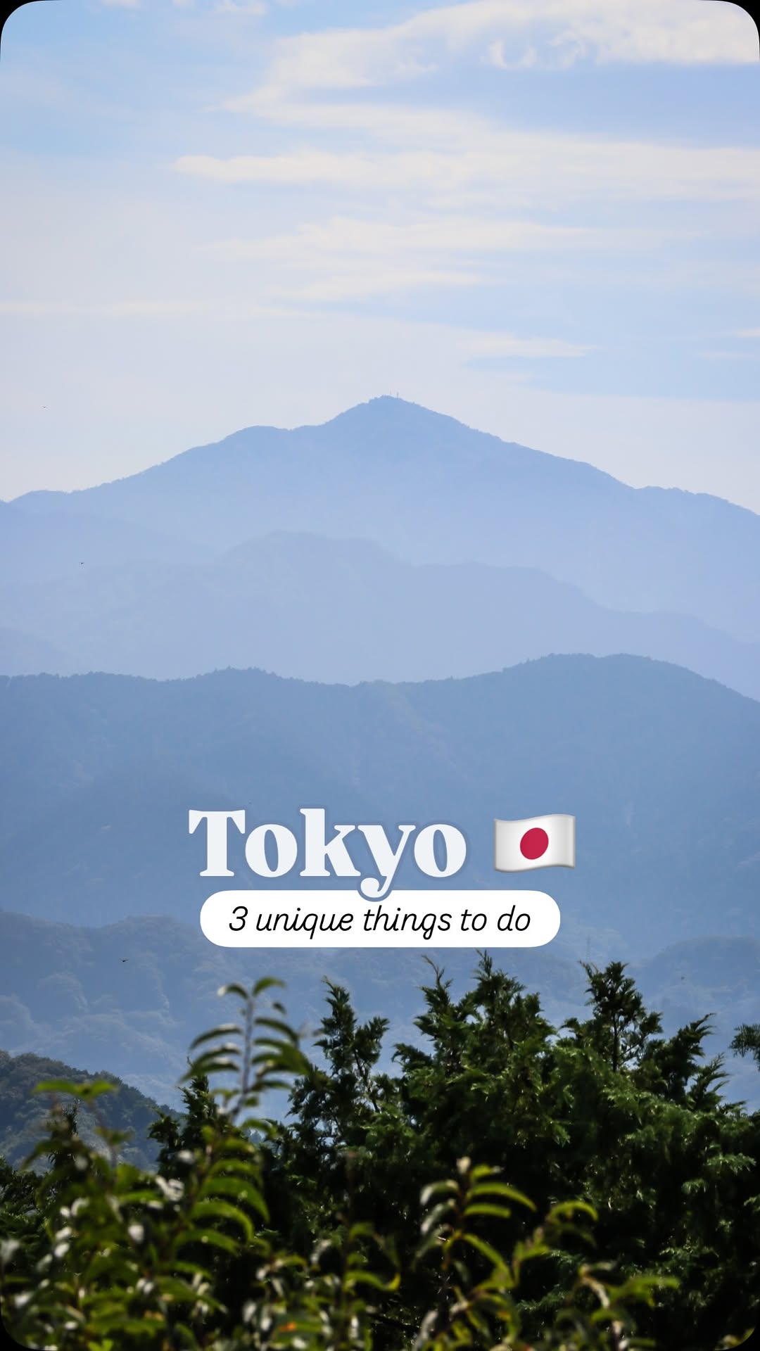 Tokyo's Robot Cafe and Mount Fuji Views