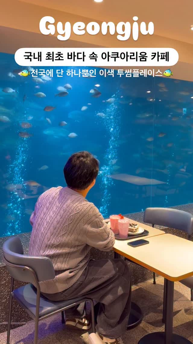 Ocean View Cafe With Aquarium Experience
