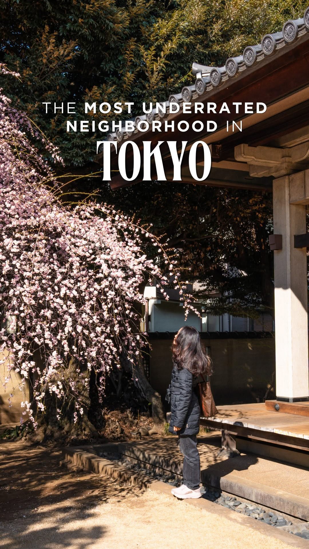 Peaceful Tokyo Neighborhood Offers Temples and Cafes