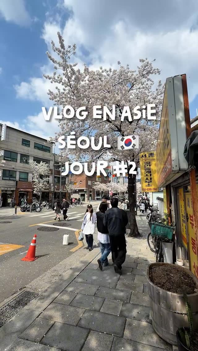 6 Shops in Seoul