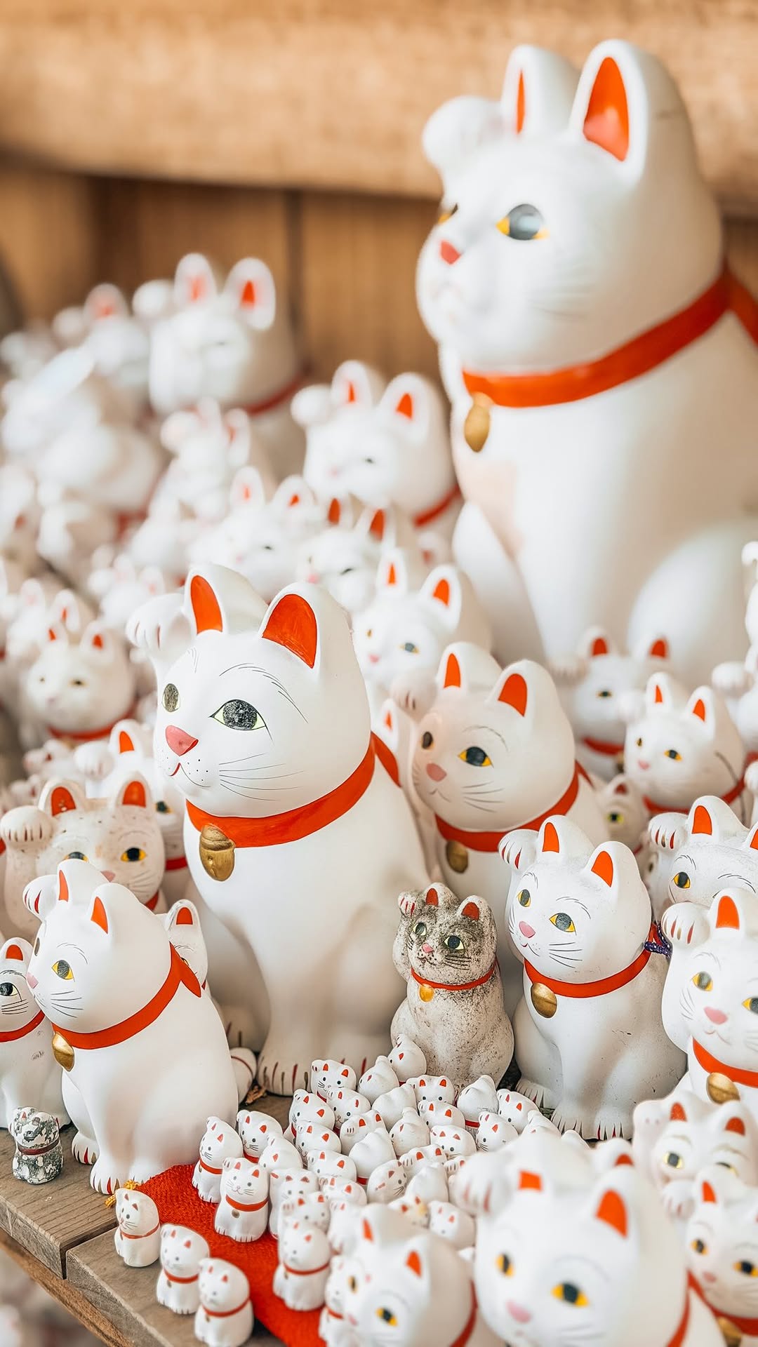 Gōtokuji Temple: A Cat-Themed Tokyo Sanctuary