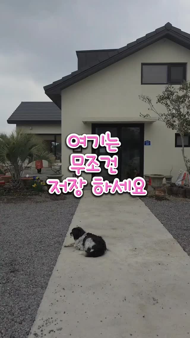 1 Restaurants in Cheju