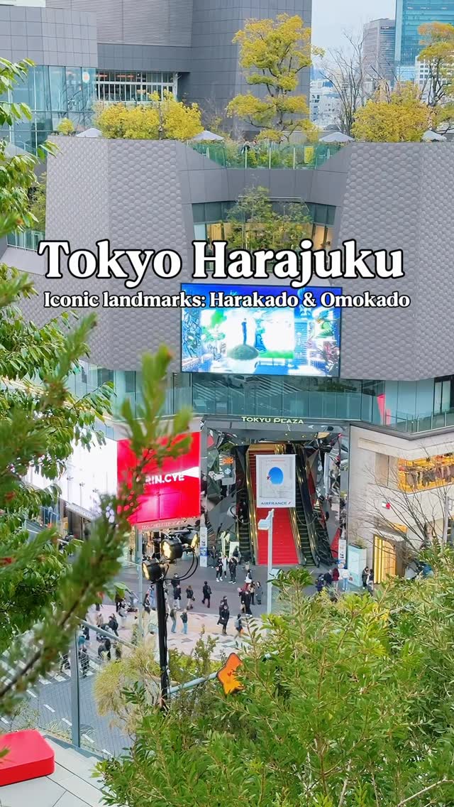 6 Shops in Shibuya