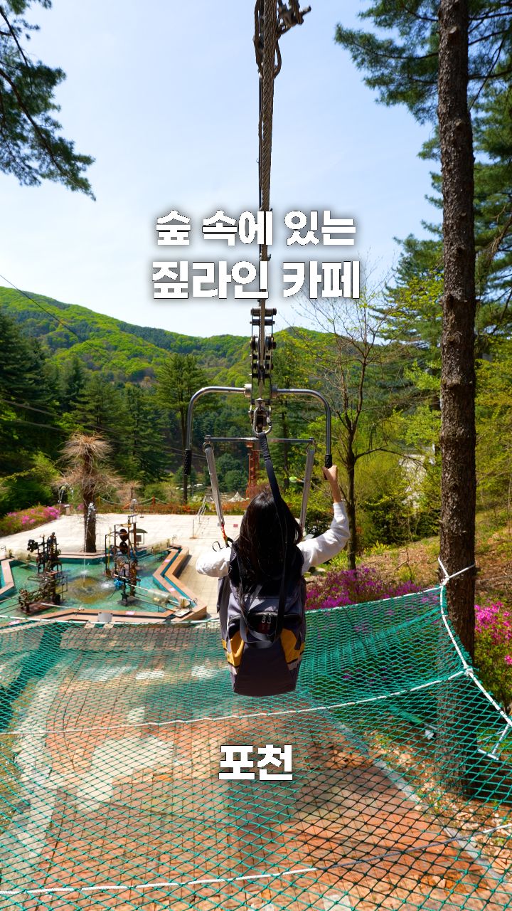 Theme Park Cafes Offer Zipline and Forest Walks