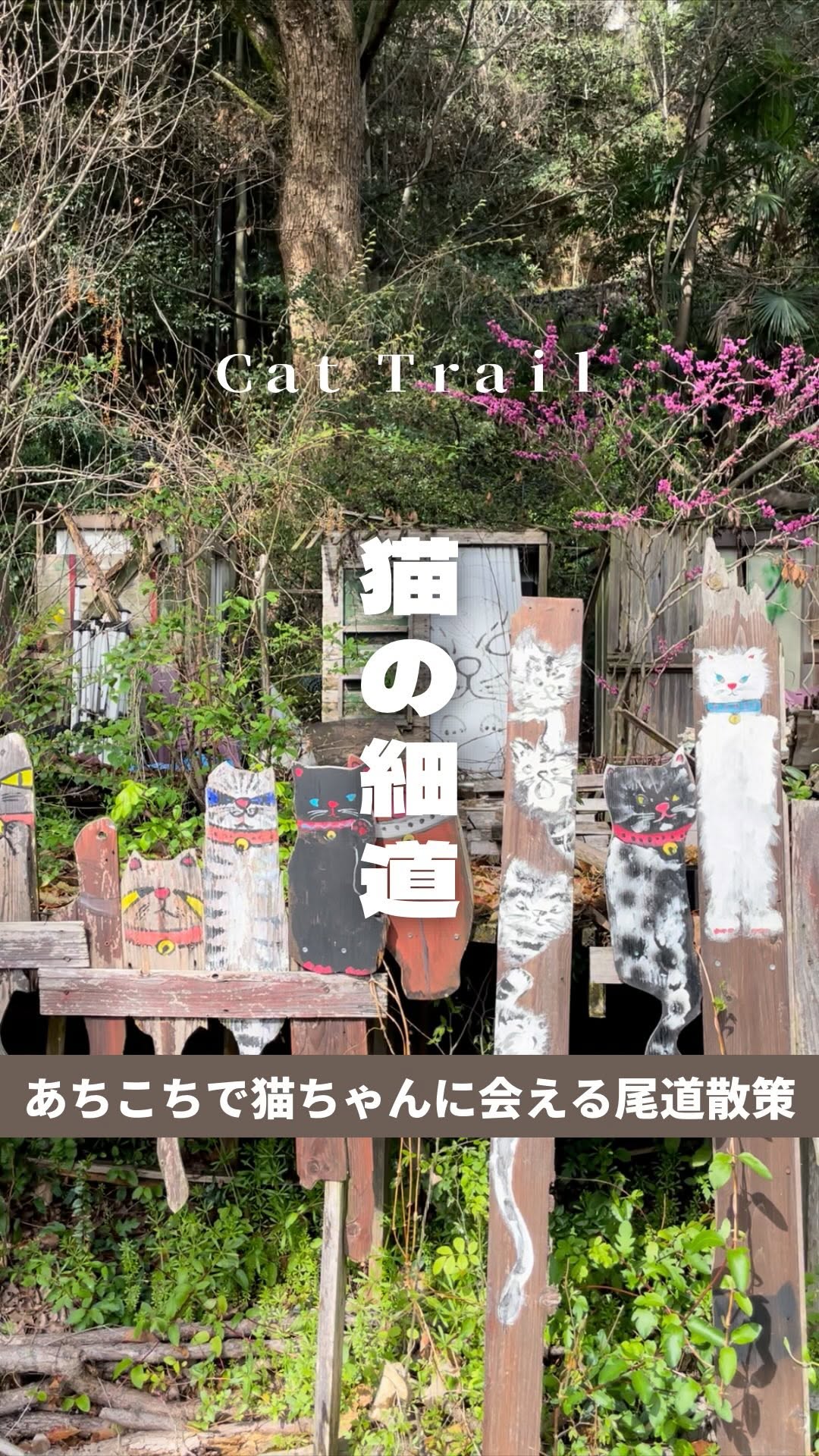 Cat Alley's Lucky Stone Cats and Artful Charm
